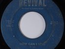 Soul Funk Gospel 45 SHIRLEY ANN LEE How Can I Lose REVIVAL HEAR
