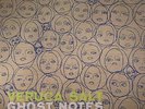 VERUCA SALT - Ghost Notes - Vinyl (2xLP)