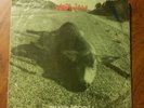 Pearl Jam Fan Club Christmas 45 