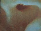 PINK FLOYD  meddle    orig vinyl album