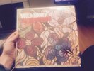 Wild Honey The Beach Boys LP In Shrink 2859 Ex Mint Vinyl Best Offer