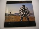 PINK FLOYD - DELICATE SOUND OF THUNDER - EDICIÓN DE 1988 DE ESPAÑA - DOBLE