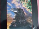 THE STRANGLERS   THE RAVEN   3-D COVER  DISC IS IN EX. CONDITION