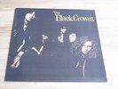 LP   THE BLACK CROWES  -  SHAKE YOUR MONEY MAKER  DEF  AMERICAN   FIRST PRESS