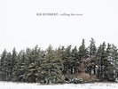 RM HUBBERT - Telling The Trees LP, Ltd Edition Heavyweight Vinyl + MP3