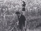 JESU/ SUN KIL MOON-JESU/SUN KIL MOON-VINYL LP (2) ROUGH TRADE/BEGGARS GROUP NEW