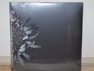 PROTEST THE HERO - Kezia 2xLP LTD EDT 10th Anniversary Audiophile NEW  Gatefold