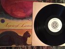 ANCIENT LEAVES  MICHAEL STEARNS  RARE MINT CONTINUUM MONTAGE