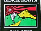 BLACK ROOTS-ALL DAY ALL NIGHT-NUBIAN-1987-LP(PRODUCED BY THE MAD PROFESSOR)