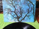 AMON DÜÜL II - PHALLUS DEI - ORIG.1969 GERM.PRESS LIBERTY 83279 I + RARE INLET 