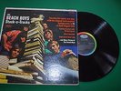 The beach Boys. Stack o Tracks LP