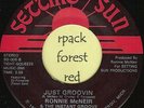 RONNIE McNEIR - Just Groovin' - SETTING SUN -  Detroit  Soul   7