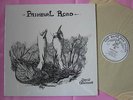 DAVID CHALMERS Primeval Road V Rare Orig 1976 Private Heavy Guitar Psych LP 1st
