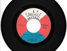 Donald Lee Richardson - You Got Me - Soulville - Very Good Condition
