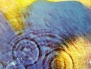 PINK FLOYD MEDDLE EU IMPORT VINYL LP NEW AND SEALED