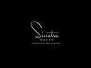 Duets [LP] by Frank Sinatra (Vinyl, Nov-2013, 2 Discs, Universal)