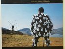 pink floyd delicate sound of thunder vinyl album