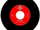 BILLY RAT & The Finks  IGL  “Little Queenie 1965 IA Fuzz Garage 45-Single Signed