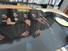 TUCKY BUZZARD WARM SLASH LP 1971 Prog. Killer MINT
