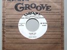 SONNY BROOKS   Champ Ale  ORIG '54 R&B BOUNCER   Groove 0027   WLP   VG++   HEAR
