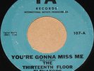 THIRTEENTH FLOOR ELEVATORS 