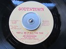 Blues Rock 45 JIM DICKINSON 