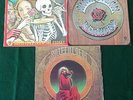 3 x GRATEFUL DEAD LPs, BLUES FOR ALLAH, AMERICAN BEAUTY, BEST SKELETON...CLOSET