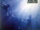 Foals Total Life Forever Vinyl LP New