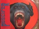 Puscifer V Is For Vagina Remixes Pic Disc RSD 2016 Limited Edition
