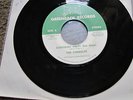The Firebolts Everybody Party 45 Hum Along Song 7
