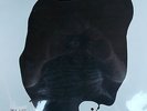 LP Bruce Gilbert ?– The Shivering Man,Neu Sealed O.V.P,Mute ?STUMM 39 Germany