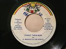 G.MURRAY&THE SONICS/CHANT THEM NOW RARE ROOTS REGGAE 45