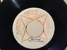 EARTH&STONES/RUN HOME RARE CHANNEL ONE ROOTS REGGAE 45
