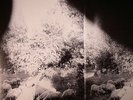 GODSPEED YOU BLACK EMPEROR - Asunder Sweet & Other Distress' - Vinyl (LP)