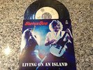 STATUS QUO *LIVING ON AN ISLAND* 7'' 1979 PORTUGUESE EDITION NM