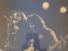 VAN HALEN LIVE RARE ATOMIC PUNKS DAVID LEE ROTH MICHAEL ANTHONY EDDIE ALEX LP