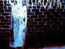 Pig Destroyer - Book Burner NEW LP