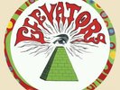 13th Floor Elevators You're Gonna Miss Me Picture Disc RSD 2016 New