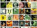 No Code [LP] by Pearl Jam (Vinyl, Aug-1996, Epic USA)