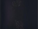 Queens Of The Stone Age / Like Clockwork / Black on Black Edition / 2LP / Sealed