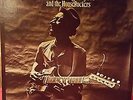 Hound Dog Taylor And The Houserockers Original 1973 Blues LP-Near Mint