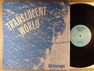 Strange  Translucent World    Private Psych Original 1973 Terry Brooks