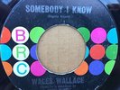 Northern Soul. Wales Wallace ''Somebody I Know'' on USA BRC Records