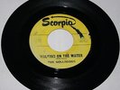 Rare 60's Garage/ The Golliwogs/