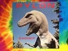 PYLON CHOMP DB RECS MUSIC? DB65 VERY RARE LP NEW WAVE EXPERIMENTAL NM- / NM-