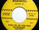 TWILIGHTERS & FRANK MOTLEY 45 Please Tell Me Your Mine NEAR MINT Doo Wop mg948
