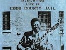 B.B. King-Live in Cook County Jail  Vinyl / 12