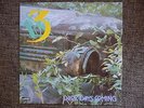 3 - DARK DAYS COMING LP minor threat gray matter rites of spring dag nasty emo