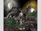 Avatar - Feathers & Flesh [Vinyl New]