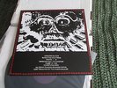 Cheater Slicks-Bats In The Dead Trees-LP 2009 Repress w/ CD Garage Rock Noise
